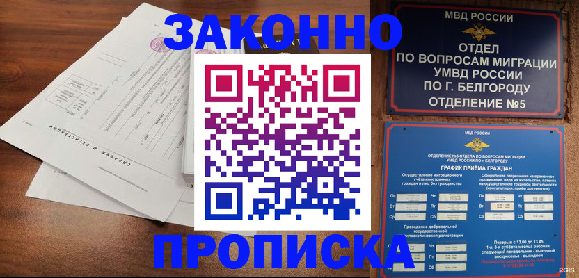 прописка в Волоколамске